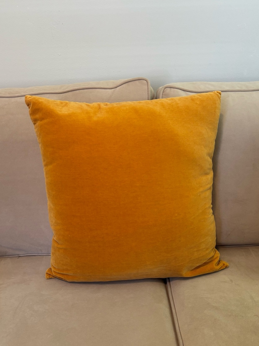 H&M Cotton Velvet Pillow Cover